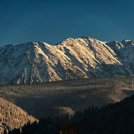 Apartament * Zakopane